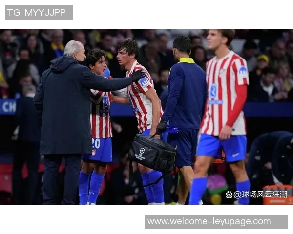 马竞球员对大都会球场草皮不满俱乐部决定不更换草皮 马竞球员对大都会球场草皮不满俱乐部决定不更换草皮